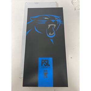 2023 CAROLINA PANTHERS PSL OWNERS BOX TICKET SLAB, PIN, MAGNET AND STICKER
